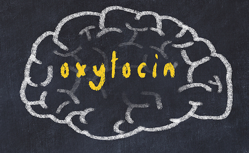 an oxytocin